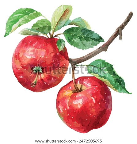 Watercolor painting vector of red apple, isolated on a white background, apple vector, drawing clipart, Illustration Vector, Graphic Painting, design art, logo