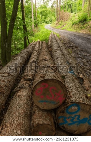 Similar – Image, Stock Photo felled tree in forest