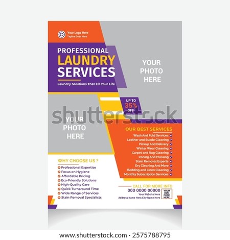 Professional Laundry Services Flyer design template