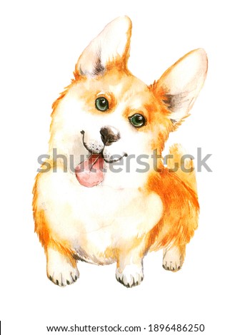 cute corgi with protruding tongue on a neutral background. watercolor illustration or print of a pet dog