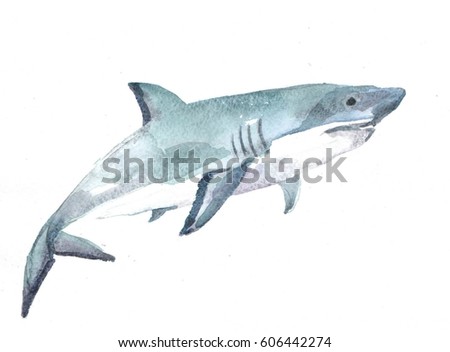 white shark on a white background. watercolor illustration
