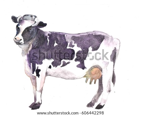 black and white cow on a white background. watercolor illustration or sketch