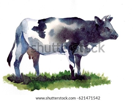 Cow on grass on a white background. Watercolor illustration