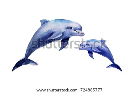 realistic dolphins on a white background. watercolor illustration