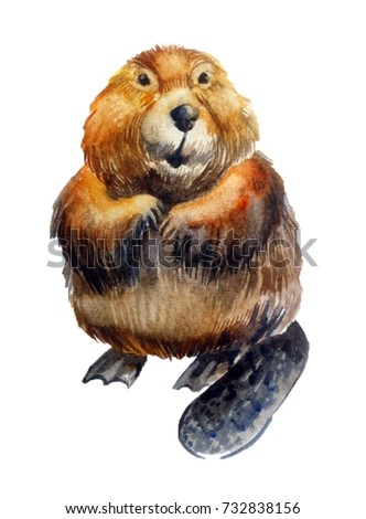 cute realistic beaver on a white background. watercolor illustration. forest animal
