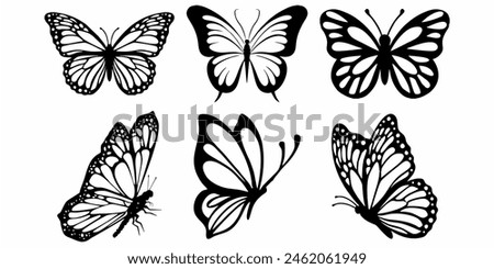 Butterfly Vector Art, Icons, and Graphics