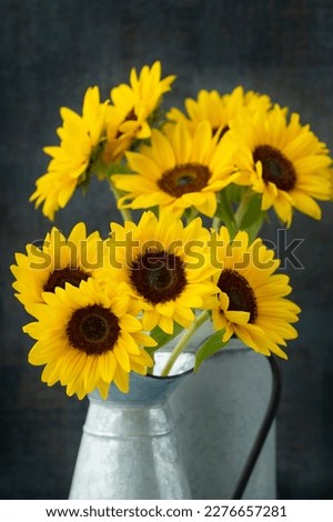 Similar – Image, Stock Photo small sunflower Summer