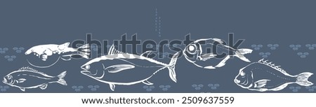 Set of hand draw sea food products. Marine fish. Bluefin tuna, Puffer, red seabeam round, grunt, golden snapper fish illustration in vintage style. Cooking delicatessen ingredients. Seafood of Japan