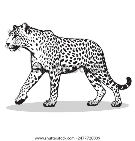 Leopard outline and symbols. Dark level variety basic exquisite white foundation Leopard animal vector and silhouette icon.