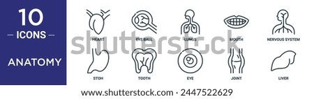 anatomy outline icon set includes thin line heart, eye ball, lungs, mouth, nervous system, stoh, tooth icons for report, presentation, diagram, web design