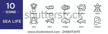 sea life outline icon set includes thin line lobster, arowana, nemo, betta fish, turtle, crab, guppy icons for report, presentation, diagram, web design