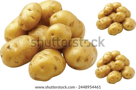 fresh potatoes for bake and french fried on white background