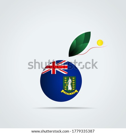 Vector Graphic icon with flag and feather of Virgin islands british