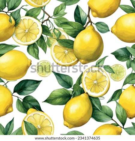 Hand drawn watercolor lemon sicilian painting on white background. Fruit vector illustration. Pattern watercolor fruit.