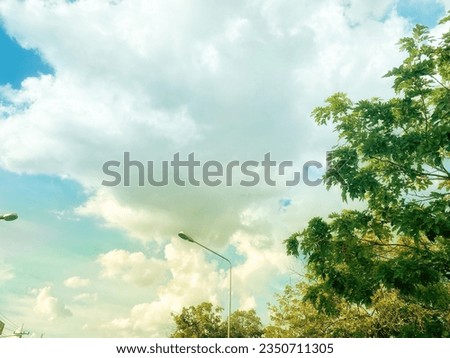 Similar – Image, Stock Photo Sky, clouds and tree tops