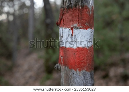 Similar – Image, Stock Photo bark painted red