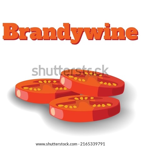 A Brandywine Tomato Cut into Neat Slices that Casts a Soft Shadow. An Elite Variety of Tomato for Haute cuisine. Michelin Slicing for Luxury Dishes. Vector Illustration Isolated on White Background.