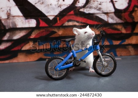 White mouse with bike
