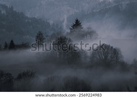 Similar – Image, Stock Photo wafts of mist in the morning