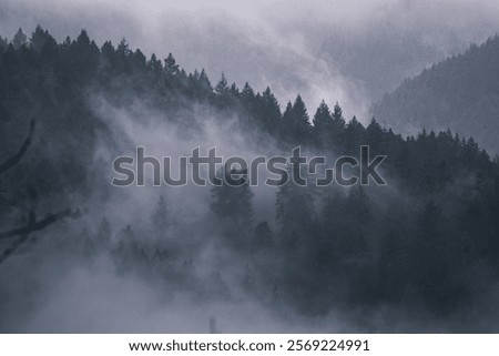 Similar – Image, Stock Photo wafts of mist in the morning