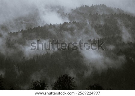 Similar – Image, Stock Photo wafts of mist in the morning