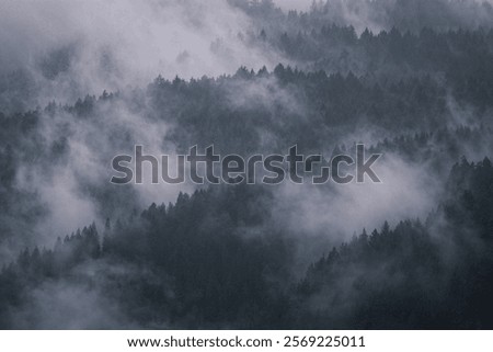 Similar – Image, Stock Photo wafts of mist in the morning