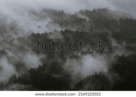 Similar – Image, Stock Photo wafts of mist in the morning