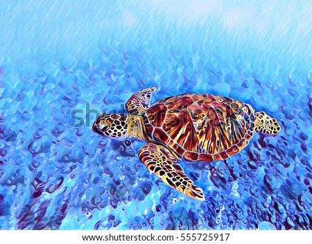 Digital illustration - Sea turtle in water. Swimming animal painting style picture. Seashore life: coral reef, stones at sea bottom, sea plants. Sea turtle in the water paint brush image. Ocean turtle