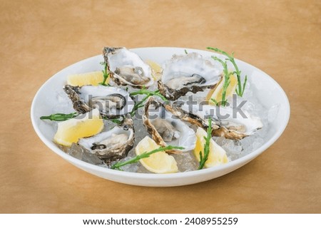 Image, Stock Photo Oysters on a bowl with ice cubes