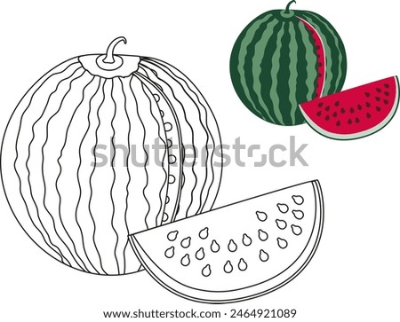 Paint a watermelon in a pattern. One piece of watermelon cut off from a whole watermelon on a white background for coloring. Watermelon on a white background