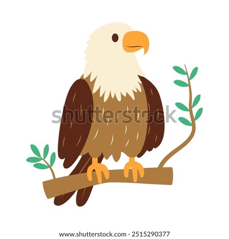 Cute Bald Eagle Hawk Falcon Bird Animal Perched on Tree Twig in the Jungle