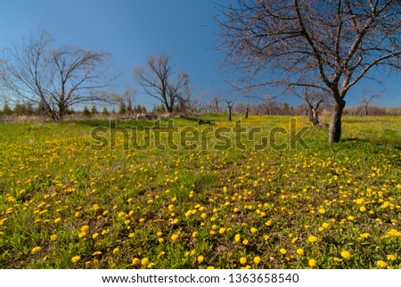 Shutterstock Puzzlepix