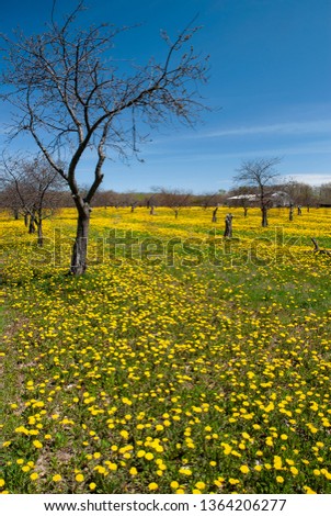 Shutterstock Puzzlepix