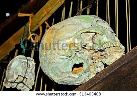 MALAYSIA - MARCH 1 : Human skulls in a Dayak village on 1 March 2015 in Malaysia, Borneo. Dayaks are the native tribes of Borneo famous of former head hunting.