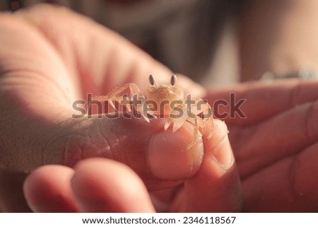 Similar – Image, Stock Photo Baby spends some time in intensive care, you may initially be put off by the amount and complexity of the equipment. But bonding with your baby is still important.