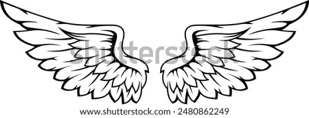 editable wings vector, wings angle, black and white, hawk wings, eagle wings, bird wing, feather, isolated background, 