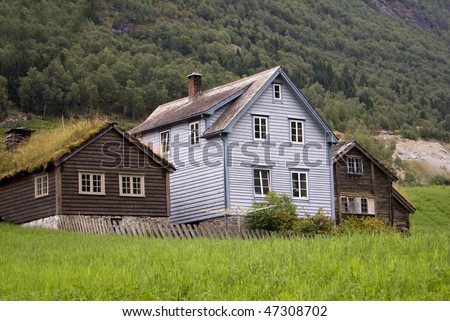 Typical wooden Norwegian houses with growing roofs