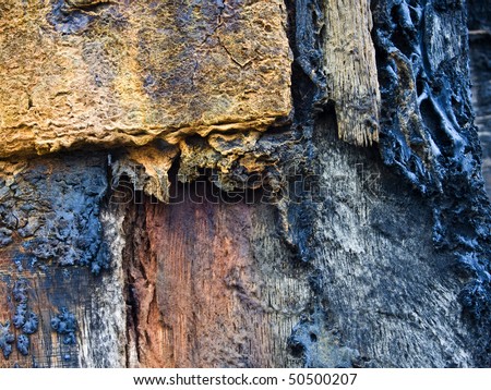 Rotting and decaying wood in colours of brown orange grey and terracotta