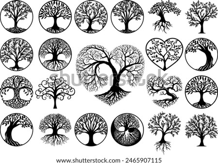 Tree of Life Root Vector