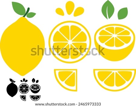 Lemon Slice Set of Vector