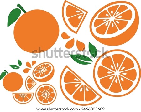 Orange Fruit Slice Set of Vector