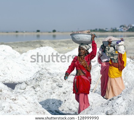 SAMBHAR, INDIA - NOVEMBER 19: An unidentified Indian women working on the salt farm, November 19, 2012 in Sambhar salt lake, Rajasthan, India