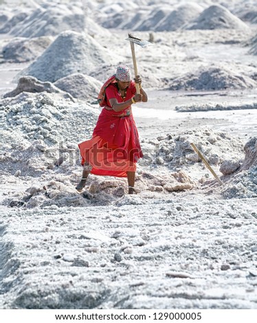 SAMBHAR, INDIA - NOVEMBER 19: An unidentified Indian woman working on the salt farm, November 19, 2012 in Sambhar salt lake, Rajasthan, India