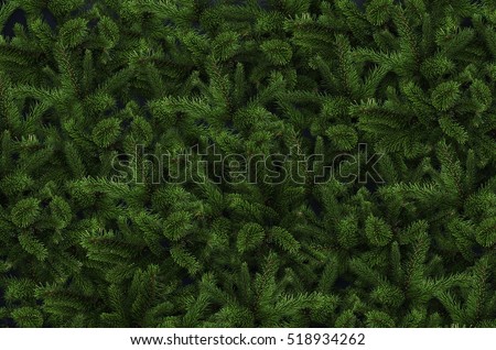 Background of Christmas tree branches. Stock foto © 