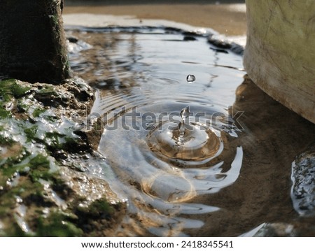 Similar – Image, Stock Photo Water drops bouncing off a lupine leaf