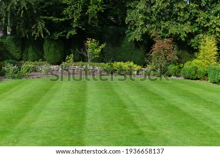 Scenic View of a Beautiful Garden with a Freshly Mowed Lawn