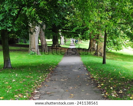 Tree Lined Pathway through a Beautiful Leafy Green Park