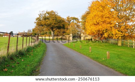 Scenic View of a Country Road in Wiltshire England