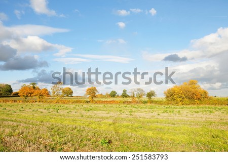 Scenic View of a Farmland Field with a Beautiful Sky Above