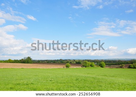 Scenic View of a Green Farmland Field with a Beautiful Blue Sky above